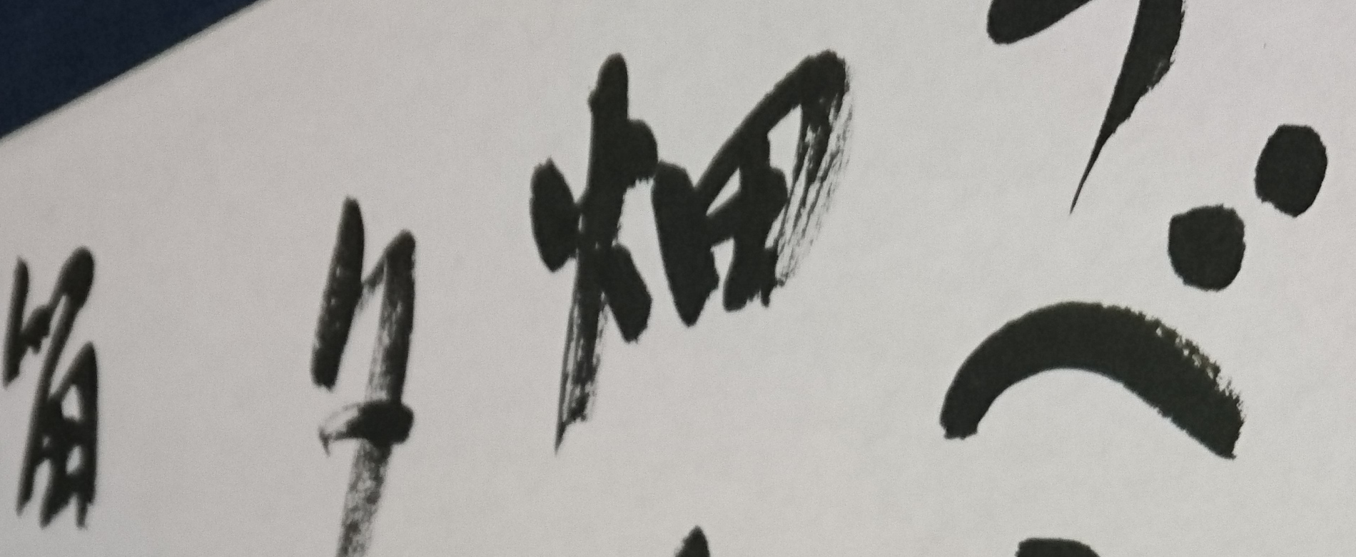 写真5